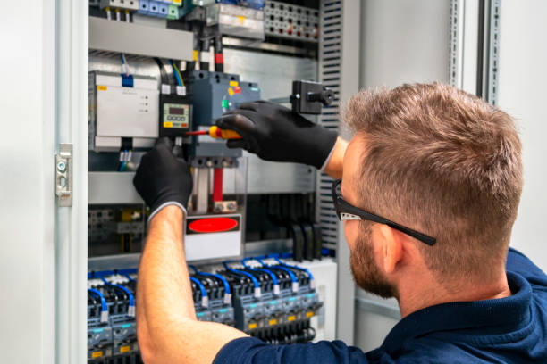 Best Electric Panel Repair  in Shenandoah Farms, VA