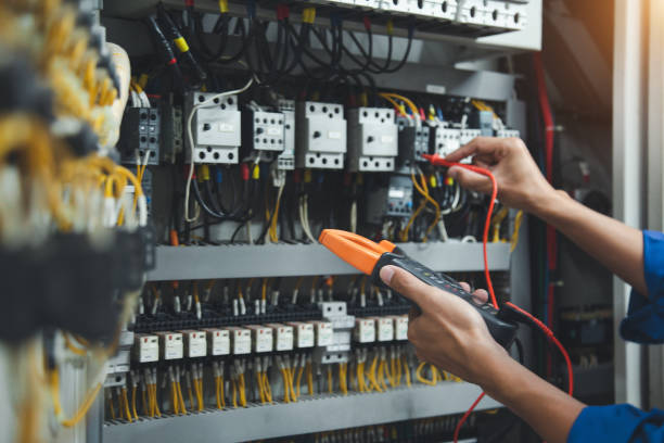 Best Electric Panel Repair  in Shenandoah Farms, VA